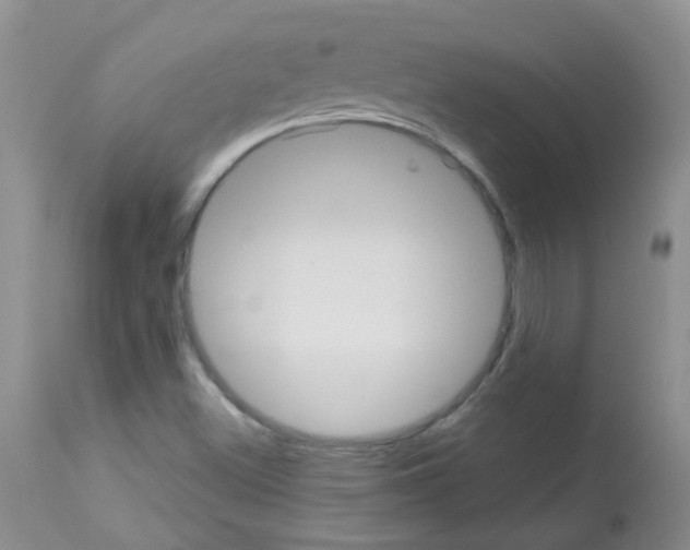 X0000113081500200910091219