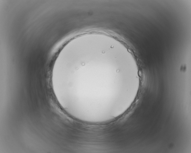 X0000113081502200910091219