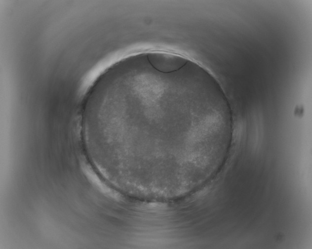 X0000113081503200910091219