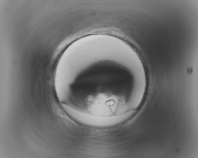 X0000113081506200910091219