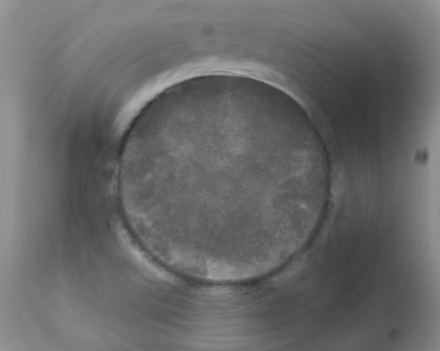 X0000113081507200910091219