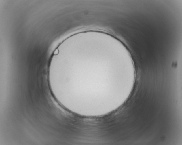 X0000113081508200910091219