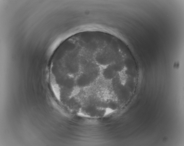 X0000113081509200910091219