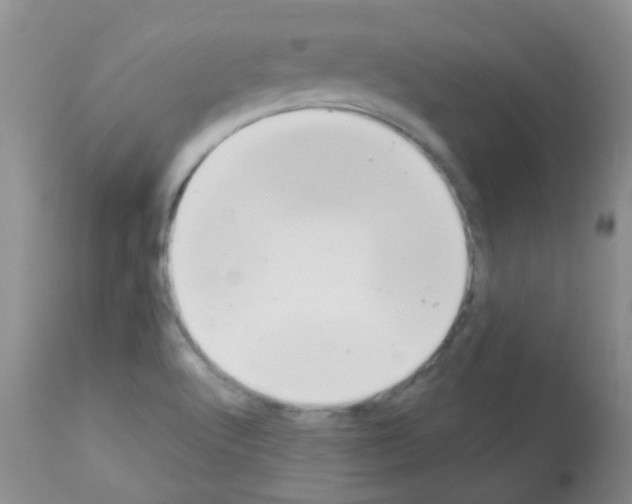 X0000113081512200910091219