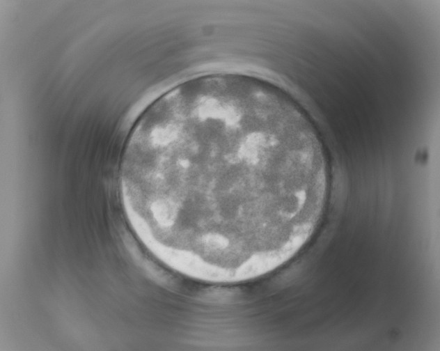 X0000113081513200910091219