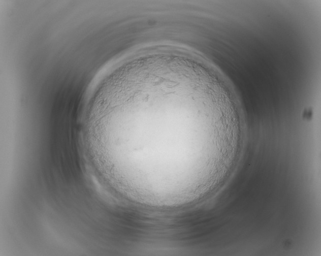 X0000113081514200910091219