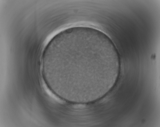 X0000113081515200910091219