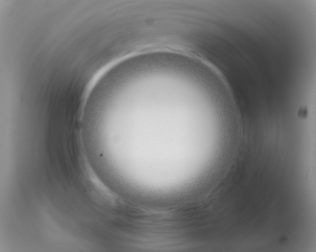X0000113081516200910091219