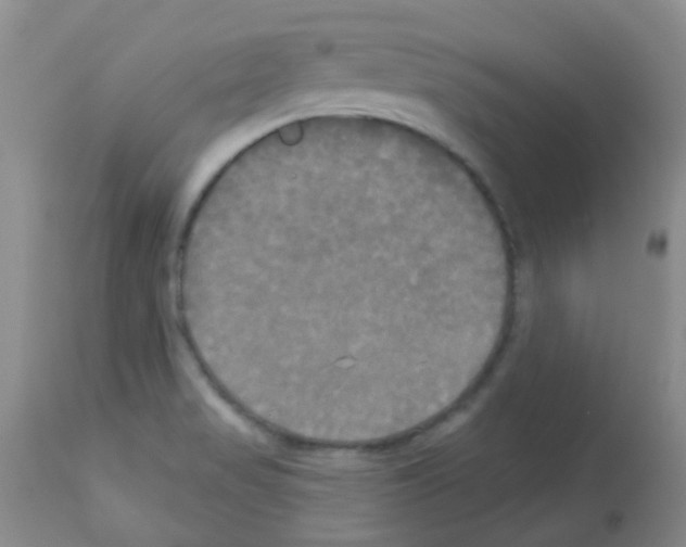X0000113081517200910091219