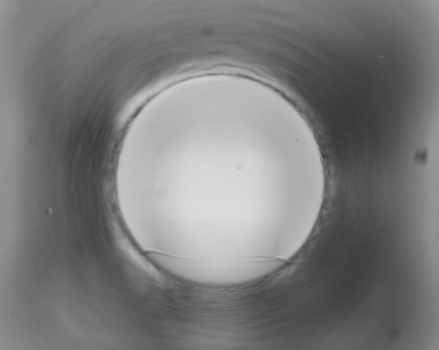 X0000113081518200910091219