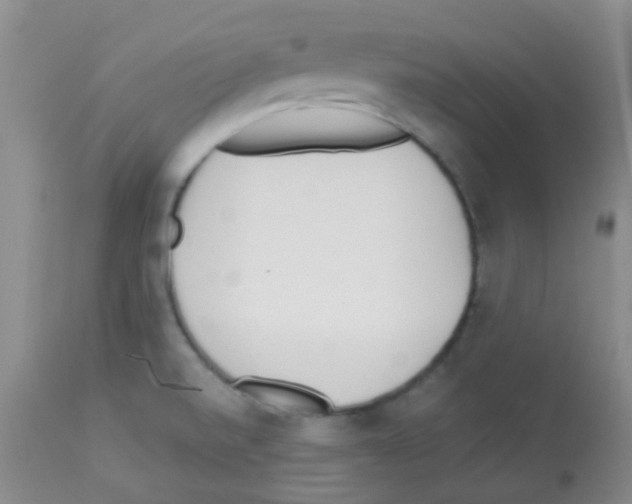 X0000113081520200910091219