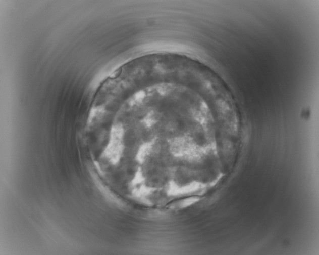 X0000113081521200910091219