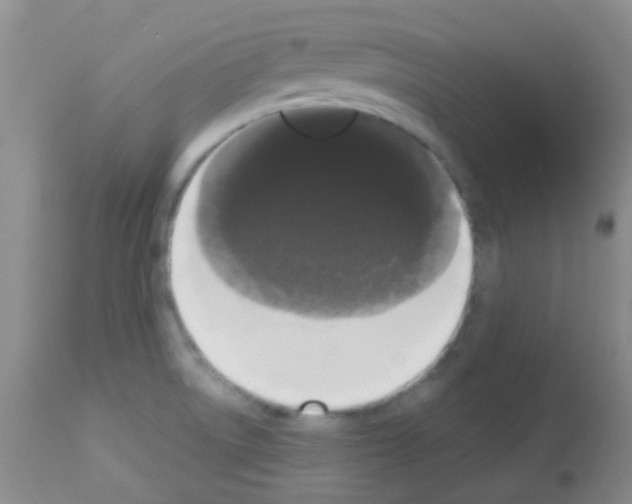 X0000113081522200910091219