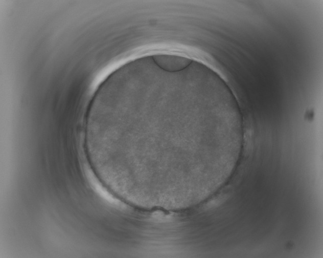 X0000113081523200910091219