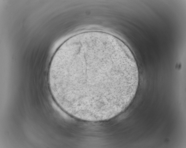 X0000113081527200910091219