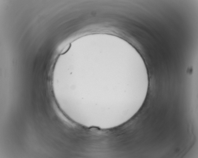 X0000113081528200910091219