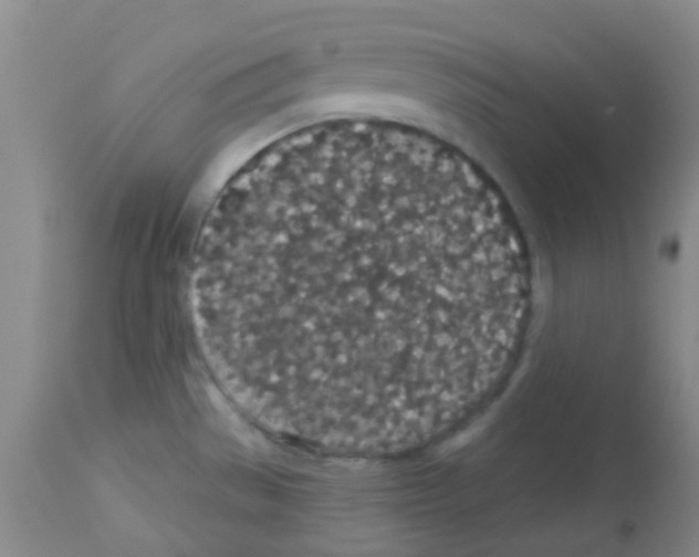 X0000113081529200910091219