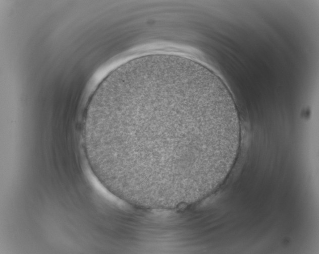 X0000113081531200910091219