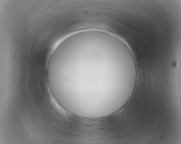 X0000113081532200910091219