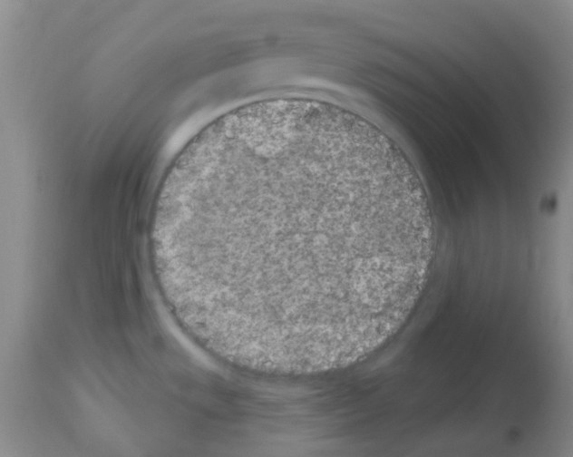 X0000113081533200910091219