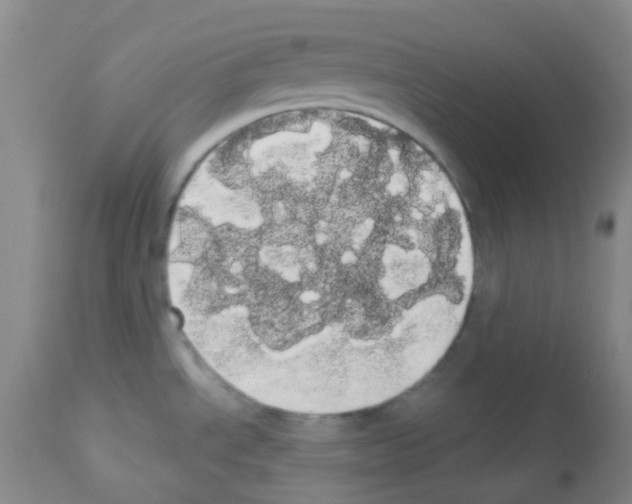 X0000113081534200910091219