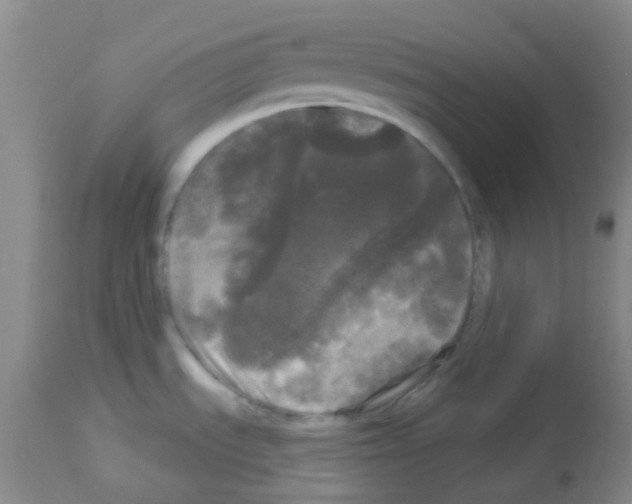 X0000113081535200910091219