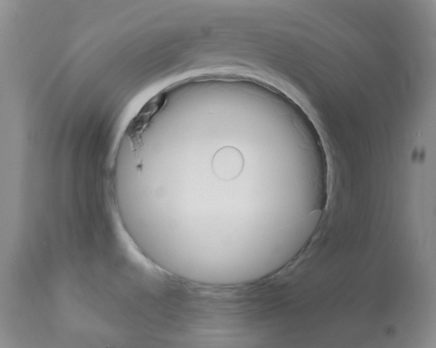 X0000113081536200910091219