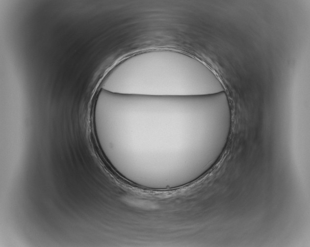 X0000113090002200908281016