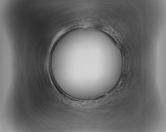 X0000113090003200908281016