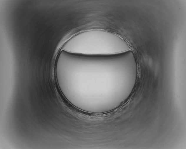 X0000113090004200908281016