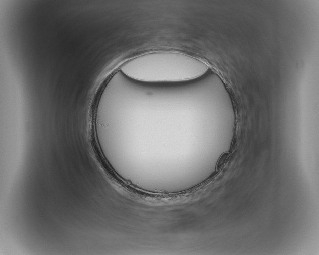 X0000113090005200908281016