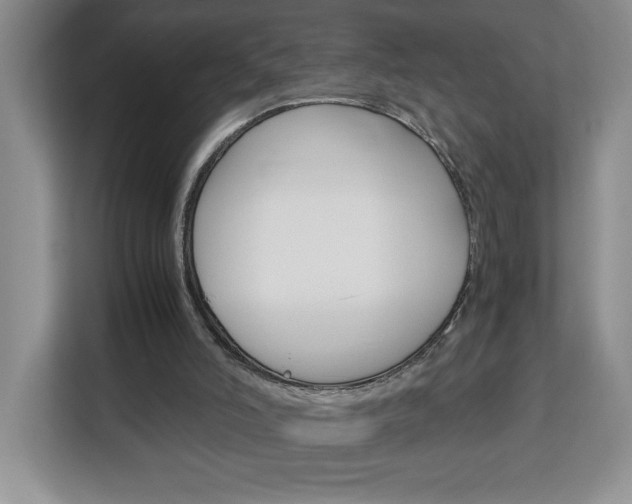 X0000113090006200908281016