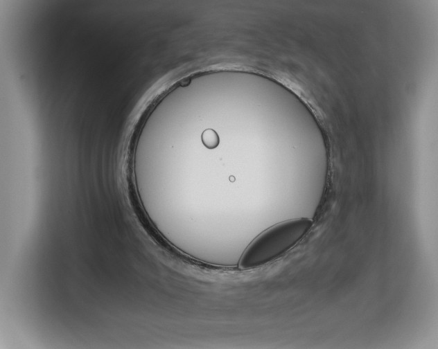 X0000113090007200908281016