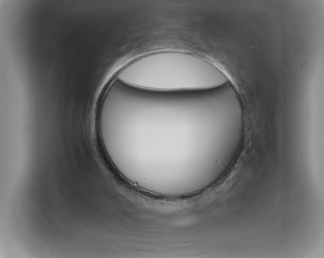 X0000113090008200908281016