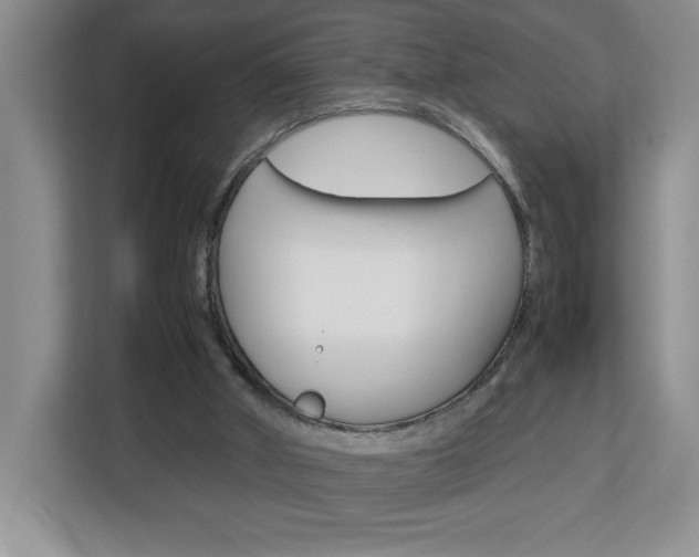 X0000113090010200908281016