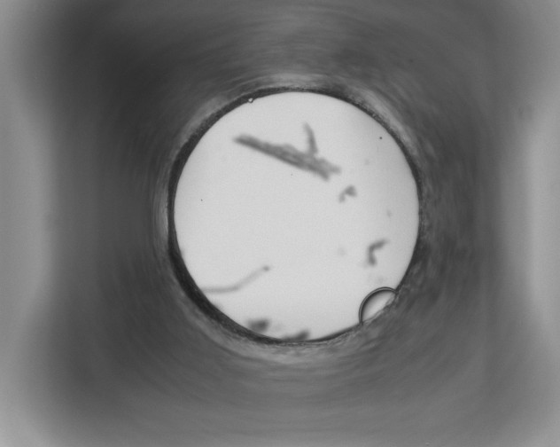 X0000113090011200908281016