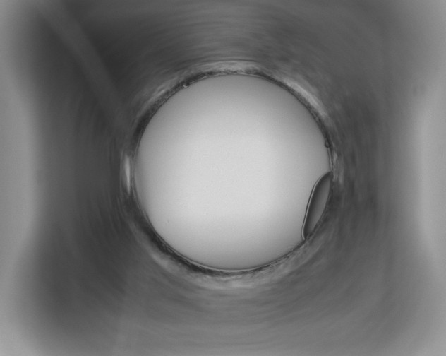 X0000113090013200908281016