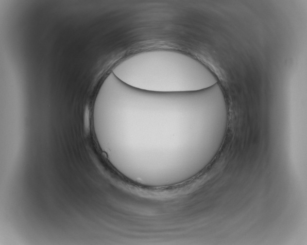 X0000113090014200908281016