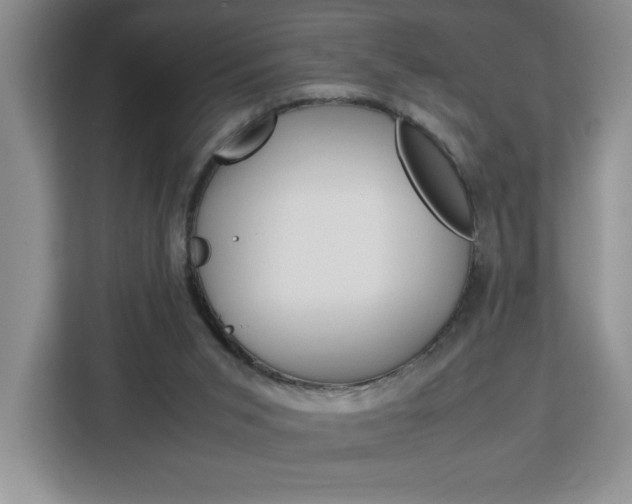 X0000113090015200908281016