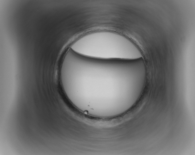 X0000113090016200908281016