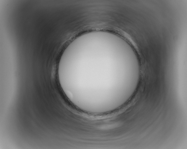 X0000113090018200908281016