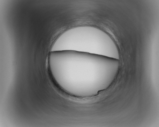 X0000113090019200908281016