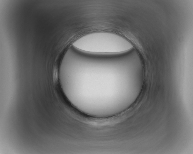 X0000113090021200908281016