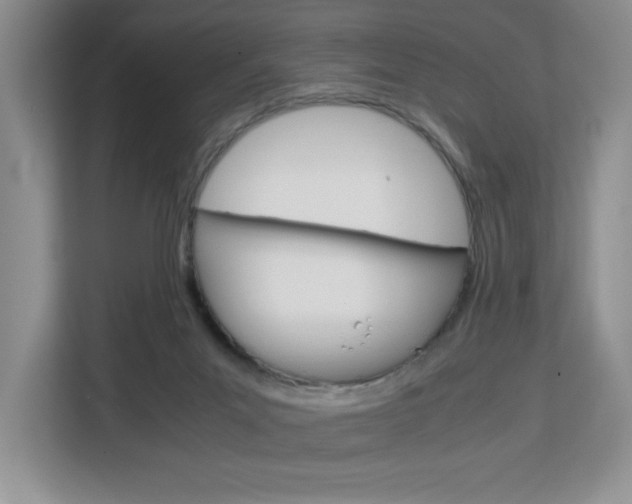 X0000113090023200908281016