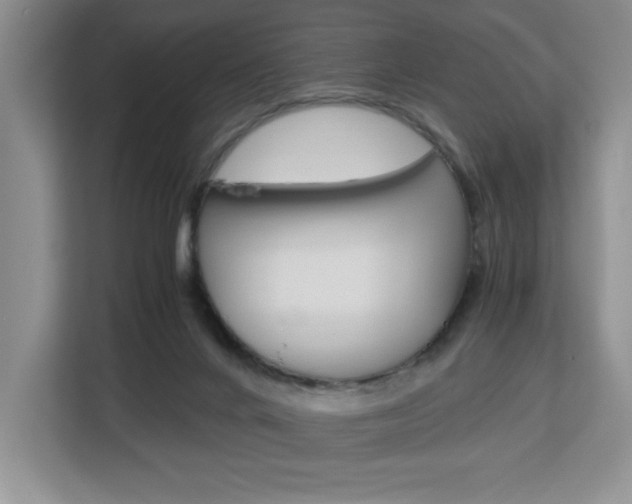 X0000113090024200908281016