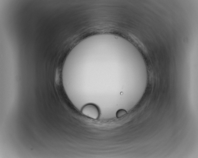 X0000113090026200908281016