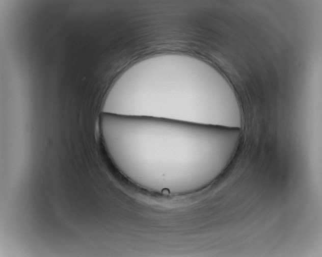 X0000113090028200908281016