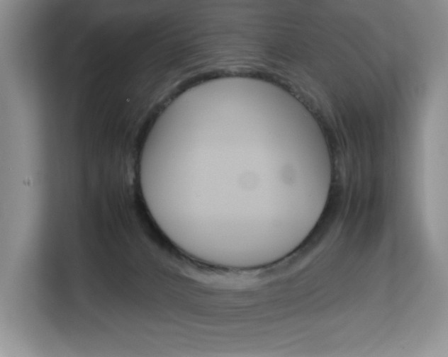X0000113090032200908281016