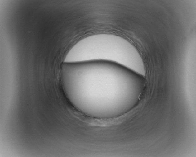 X0000113090033200908281016