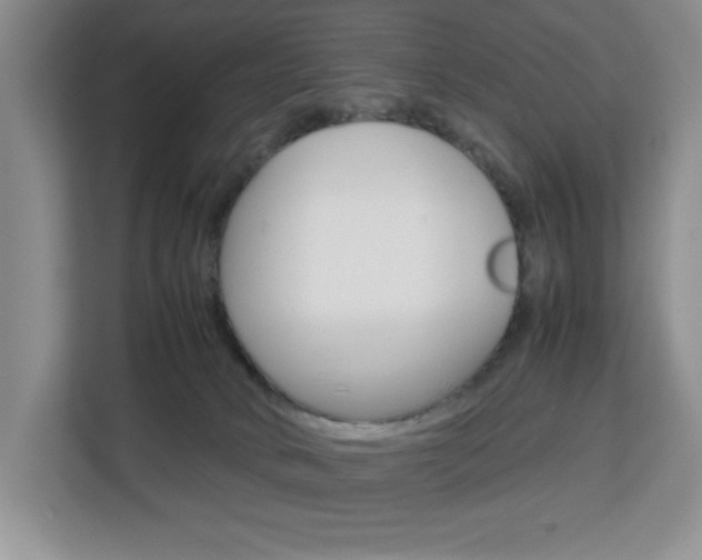 X0000113090034200908281016